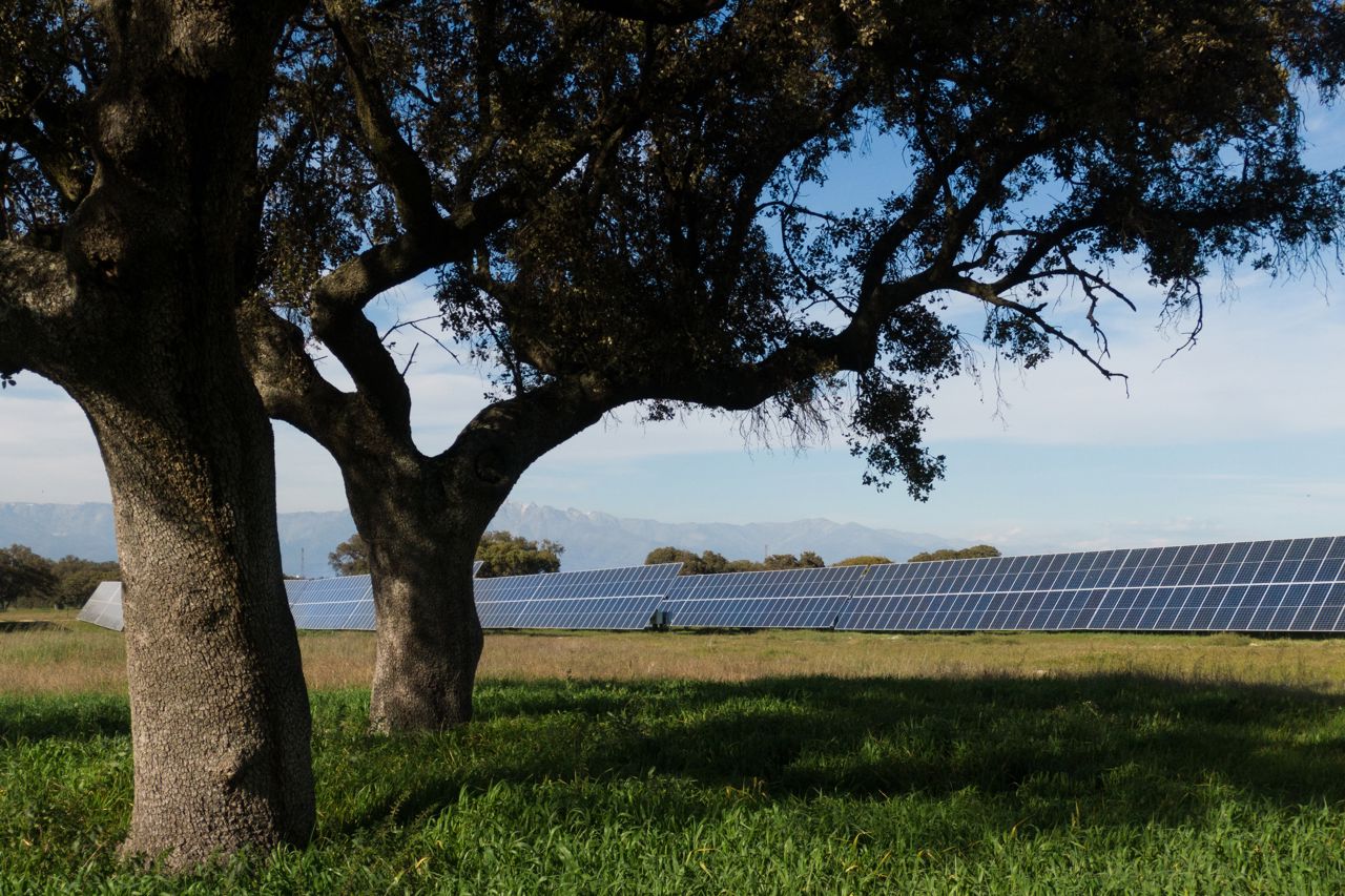 Talayuela Solar - March 2021 (35).JPG