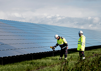 Trabajadores delante de una planta solar