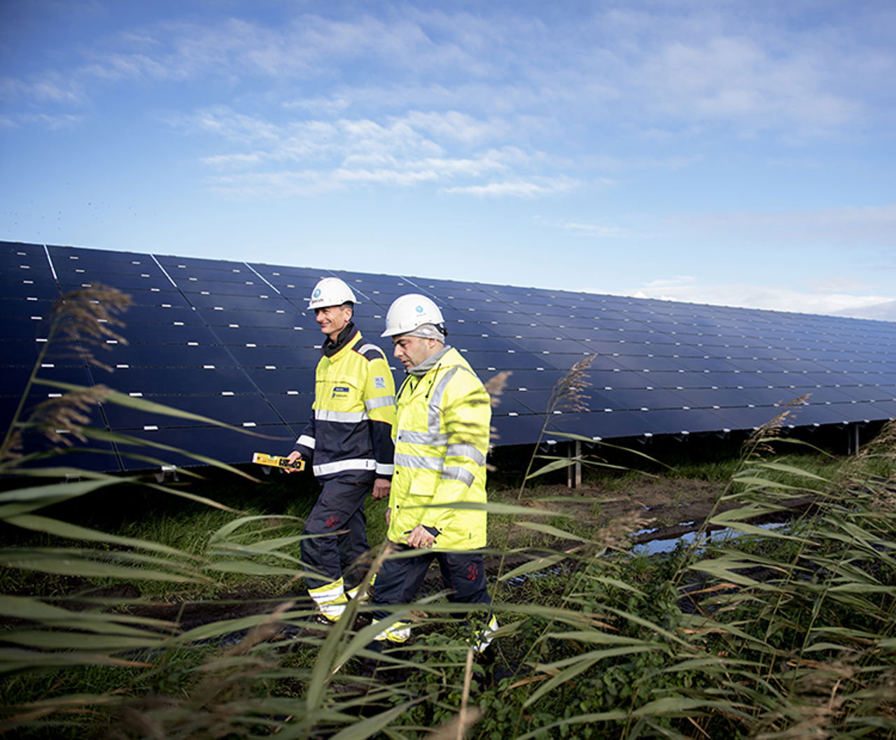 Trabalhadores em frente a painéis solares
