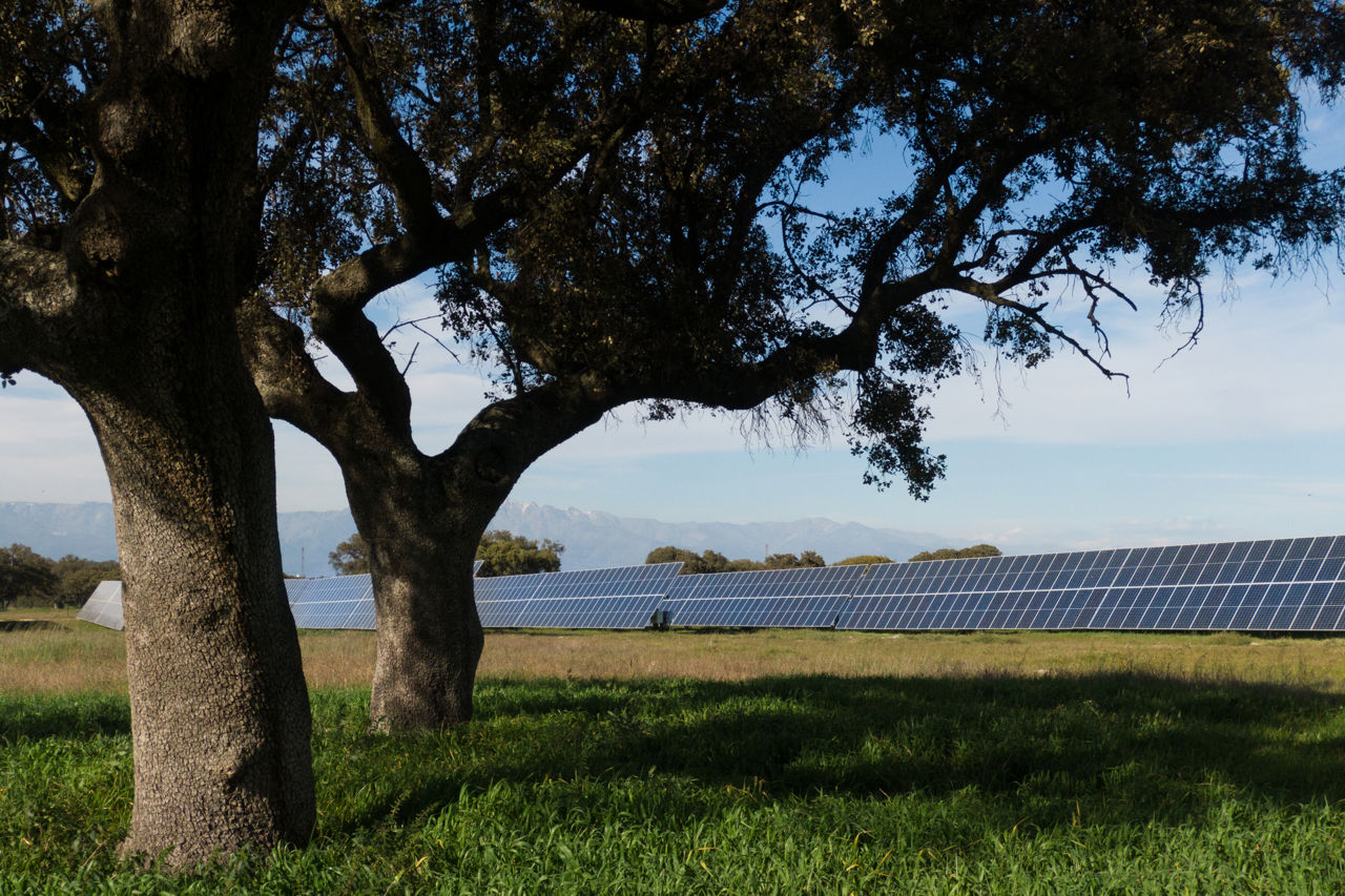 Talayuela Solar